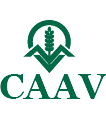 CAAV Logo