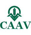 CAAV Logo CAAV Logo